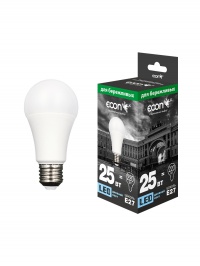 LED A 25Вт E27 6500K A67 ES
