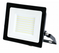LED 100W FL5